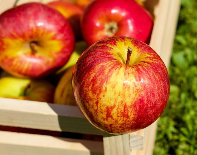 “나물 한 접시가 무섭다” 치솟는 물가에 시름 깊은 설 대목 장보기